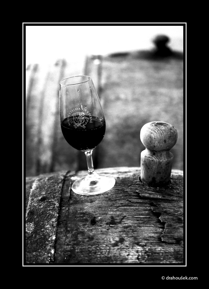 Foto týdne 2 / Photo of the Week