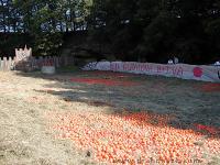 P7171743.JPG