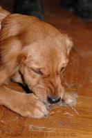 163_DSC_0902_auto_res.JPG