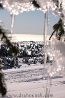 49_DSC_1929.JPG