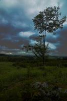 DSC_5208_auto_resize.JPG