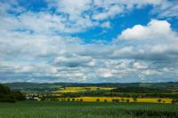 DSC_5226_auto_resize.JPG