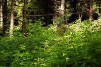 DSC_7391.JPG
