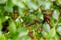 DSC_7419.JPG
