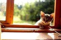 DSC_7615_auto_resize.JPG