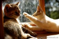 DSC_7635_auto_resize.JPG
