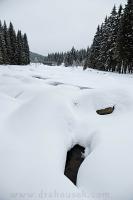 DSC_8899_auto.JPG