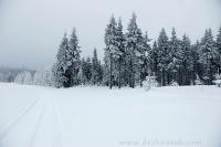 DSC_8905_auto.JPG