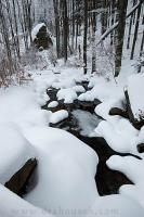 DSC_8927_auto.JPG