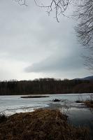 DSC_9386.JPG