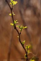09_DSC_9973.JPG