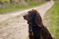 18_DSC_9992.JPG