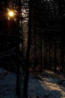 DSC_2402.JPG