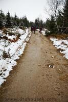 DSC_2415.JPG