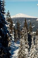 DSC_3242_auto.JPG