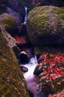 DSC_1153.JPG