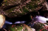 DSC_1159.JPG
