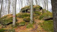 DSC_1189.JPG