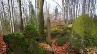 DSC_1191.JPG