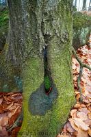 DSC_1196.JPG