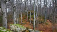 DSC_1200.JPG