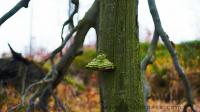 DSC_1248.JPG