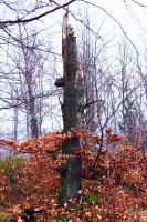 DSC_1282.JPG