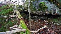 DSC_1294.JPG