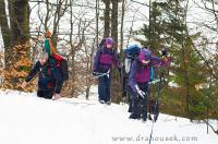 DSC_1353.JPG