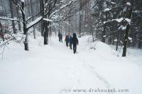 DSC_1446.JPG