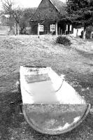 DSC_7507.JPG