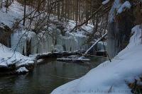 DSC_2891_auto.JPG