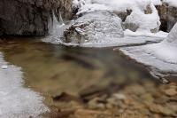 DSC_3169_auto.JPG