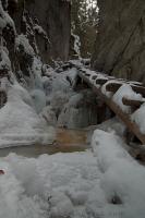 DSC_3247_auto.JPG