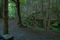 DSC_4816.JPG